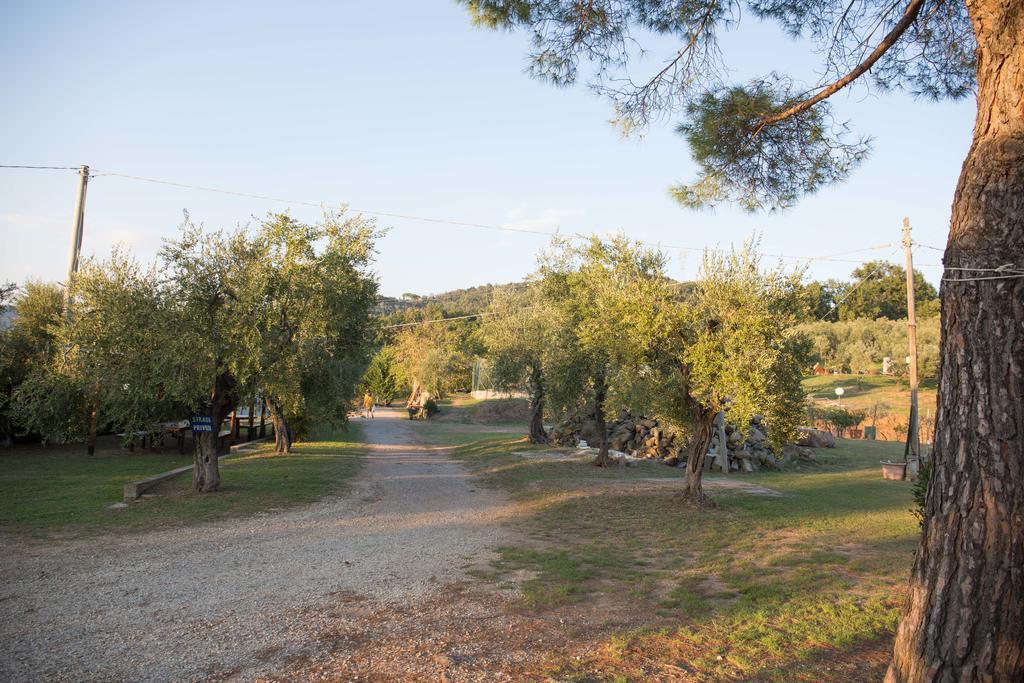 Farm stay Agriturismo Poggetto Larciano