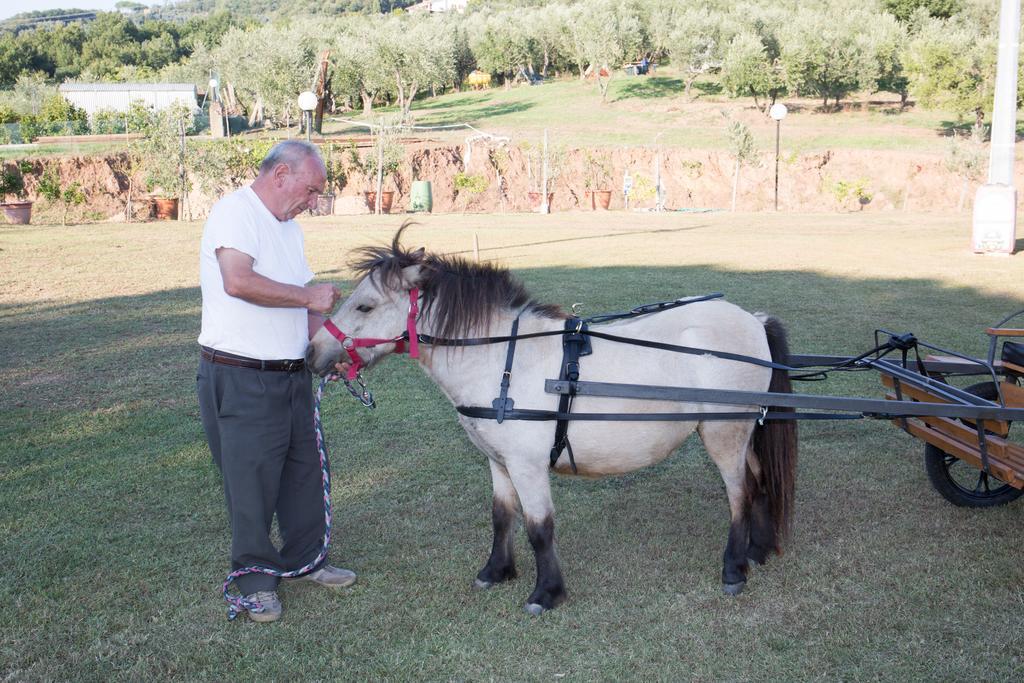 Farm stay Agriturismo Poggetto Larciano