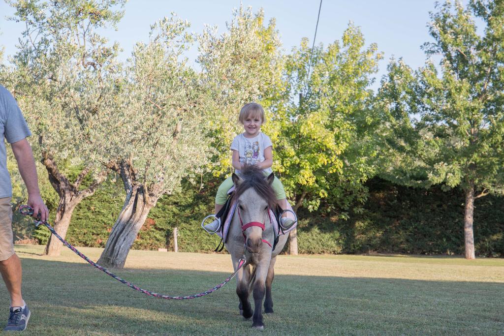 Farm stay Agriturismo Poggetto Larciano