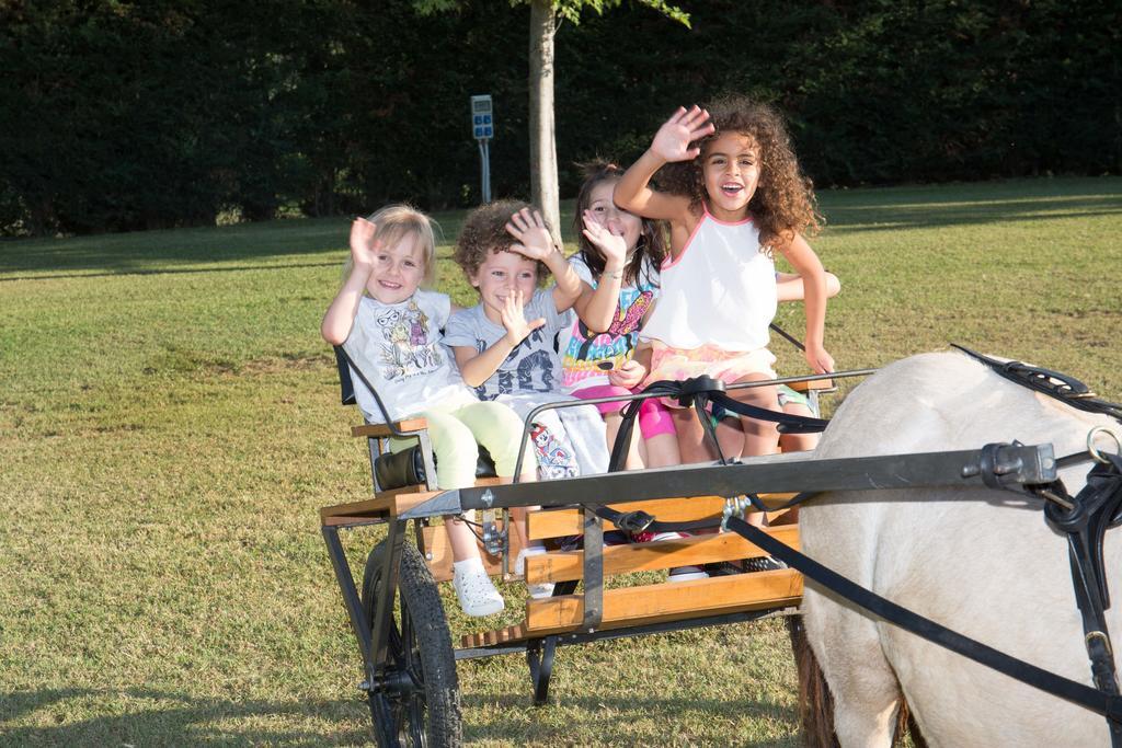 Farm stay Agriturismo Poggetto